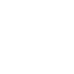 fundacion blanco